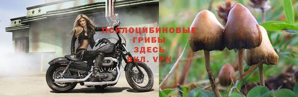 круглые Козельск